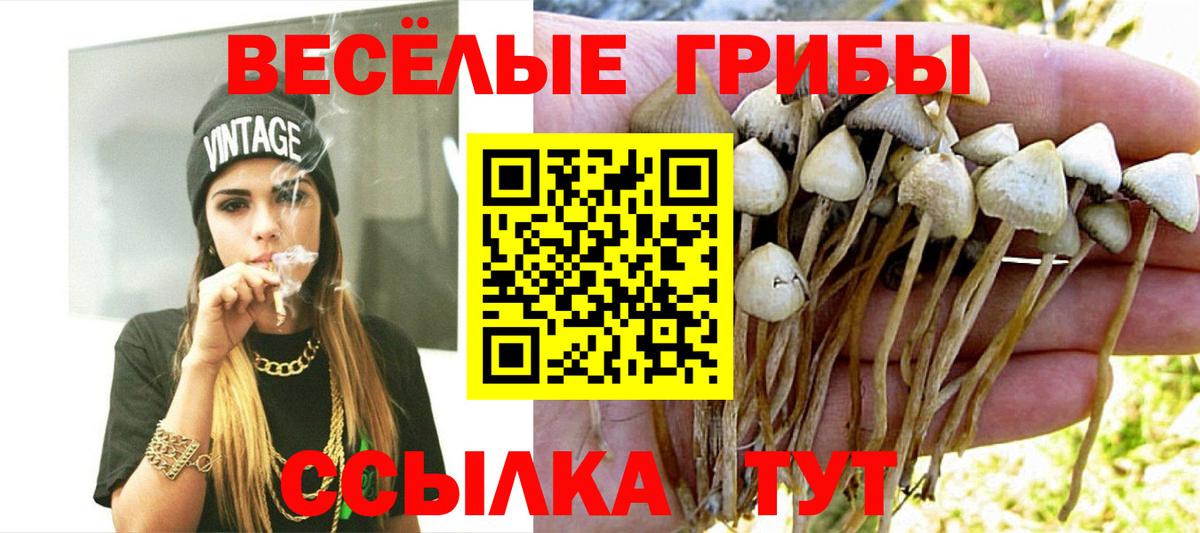 Алушта  что такое наркотик  Вход с VPN  Псилоцибиновые грибы мицелий 